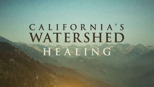 California's Watershed Healing Trailer